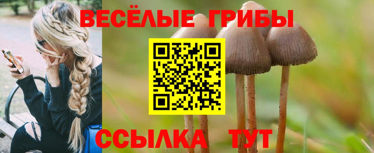 Псилоцибиновые грибы Psilocybe  Вход с VPN  Россошь  Псилоцибиновые грибы Magic Shrooms 